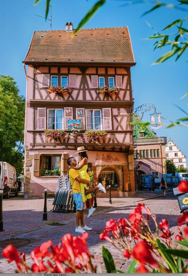 L'Ambassadeur - Colmar Centre Daire Dış mekan fotoğraf